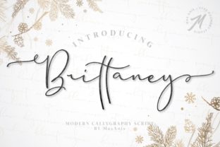 Brittaney: A Modern and Elegant Font for Stylish Design